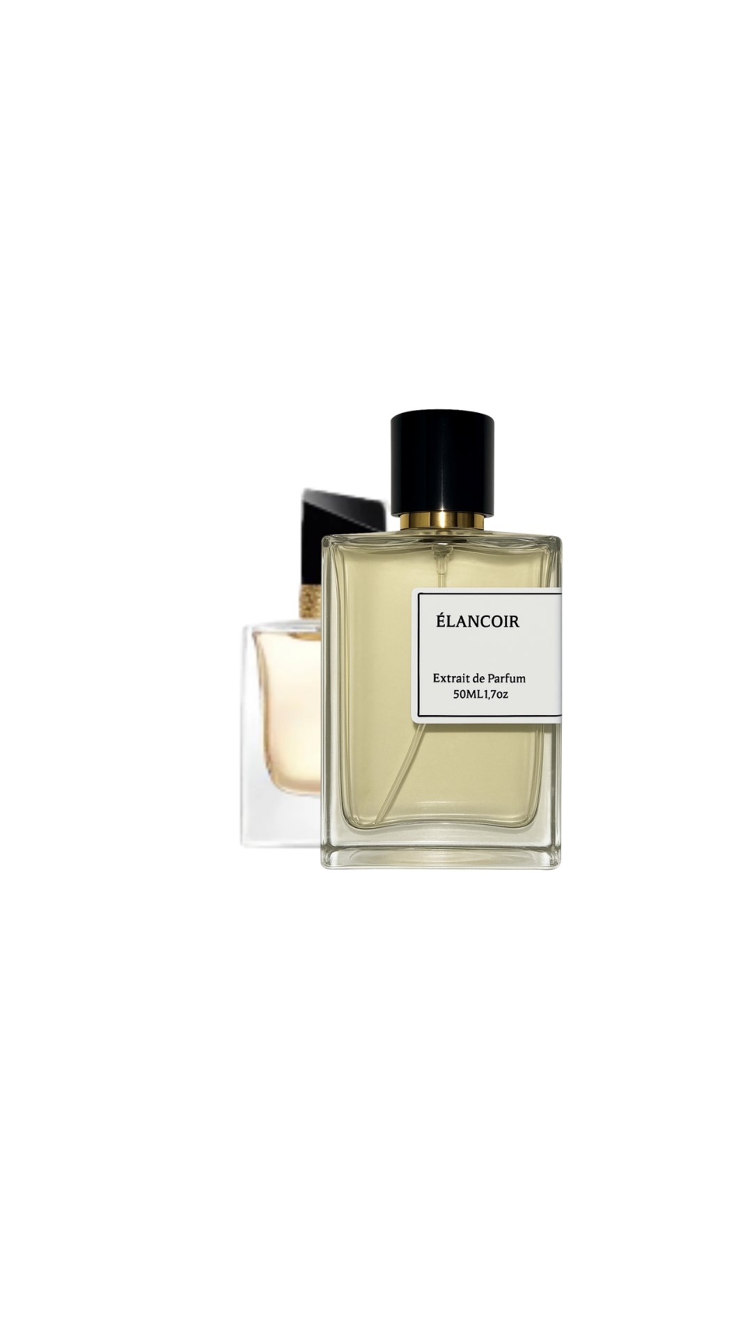 E314 Live - Élancoir