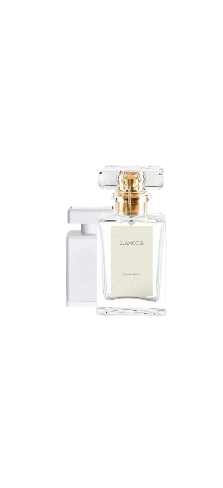 E212 Therapy - Élancoir 