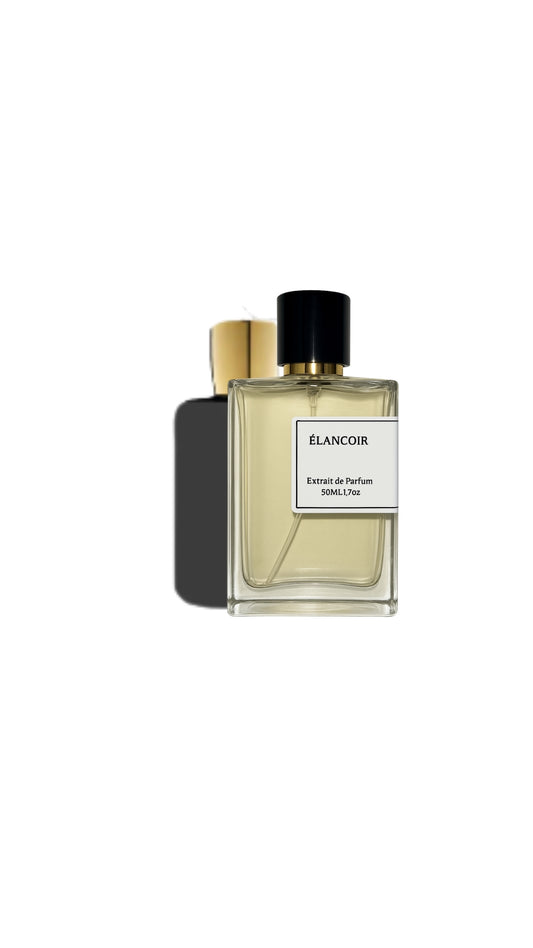 E240 Ocean - Élancoir 