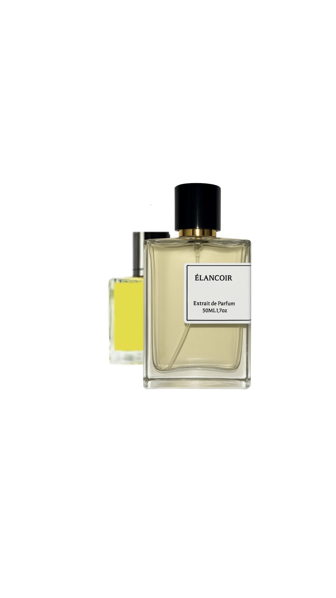 E322 VIP - Élancoir 